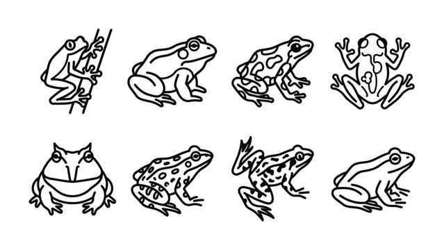 Frog Collection: A whimsical compilation of eight distinct frog illustrations, showcasing their varied forms and patterns in a clean, artistic presentation.
