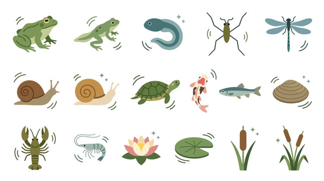 Collection of cute flat vector icons representing pond life animals and aquatic plants.