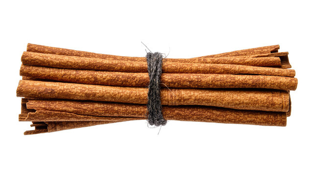 Bundle of brown cinnamon sticks tied with dark grey twine, isolated on transparent background