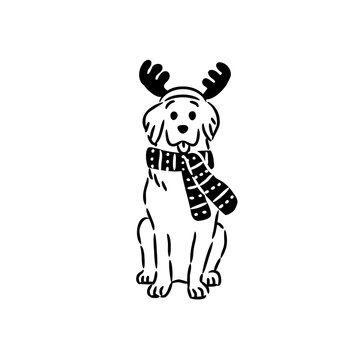 Fluffy Dog wearing Christmas Reindeer Antlers and Red Scarf