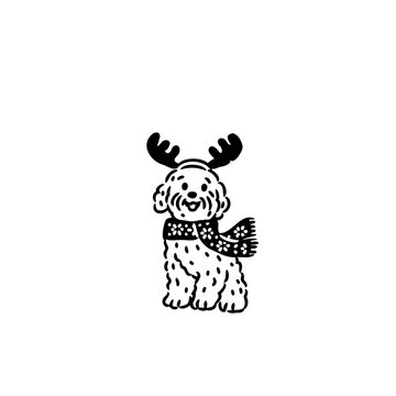 White Poodle Dog wearing Christmas Reindeer Antlers
