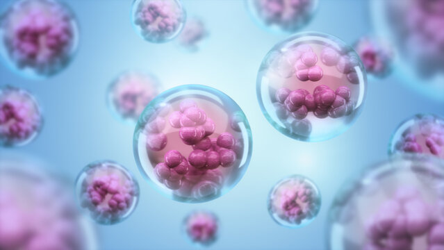 Human cell or Embryonic stem cell microscope, Stem cell therapy, 3D rendering