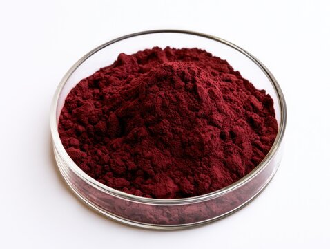 Crimson red powder in a petri dish for scientific research
