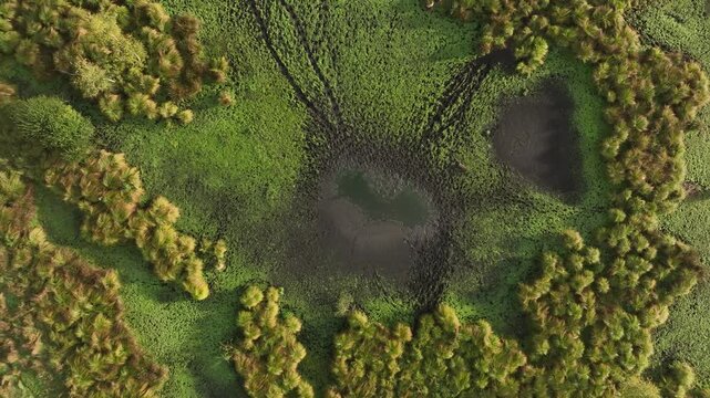 Aerial view of wetlands and muddy pools in Gronau, Germany.