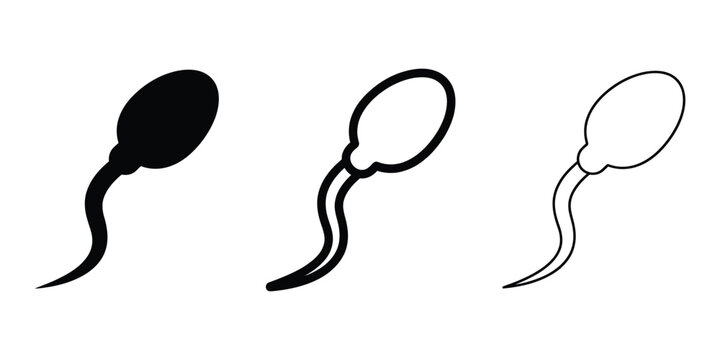 Sperm icon silhouette vector outline and line art
