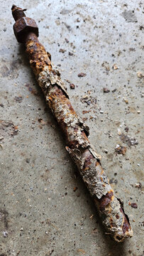 Corroded anode rod pulled from water heater on concrete floor