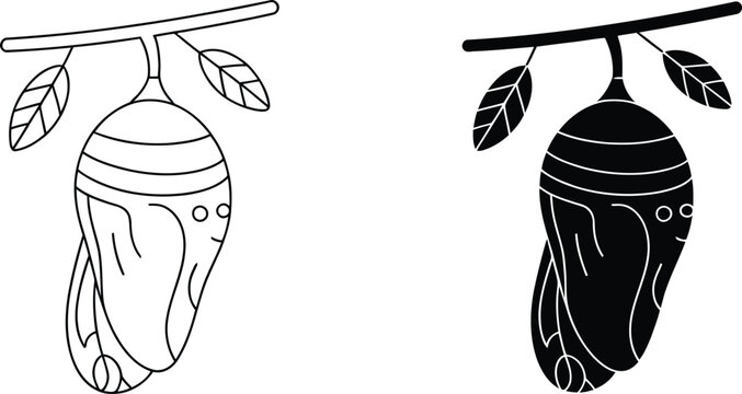 Chrysalis metamorphosis stage hanging vector illustration