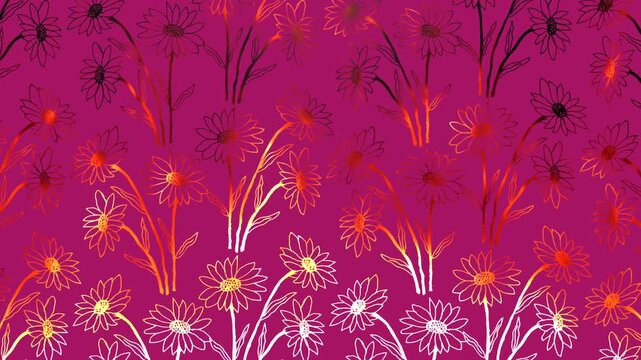 Seamless Floral Daisy Pattern with Golden Orange Line Art Flowers On Magenta Background Loop.