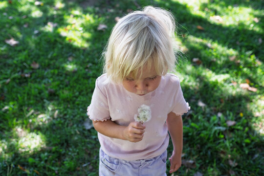 Cute blonde little girl holding dandelion flowers on green lawn