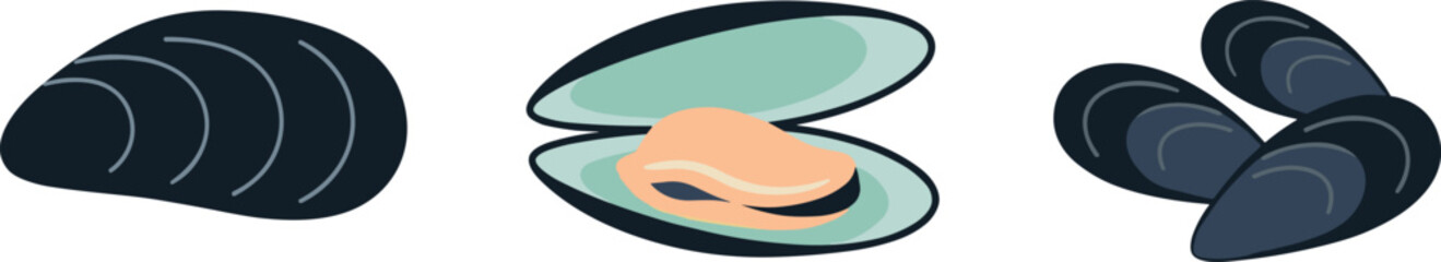 Collection of fresh seafood mussels with closed and open clam shells isolated on white background vector illustration © Afroja