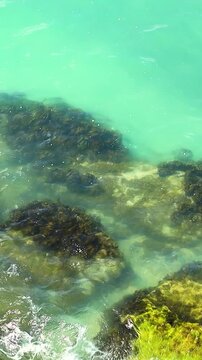 Clear turquoise water gently laps against rocky shoreline, showcasing vibrant seaweed and marine life along the coast in a tropical setting
