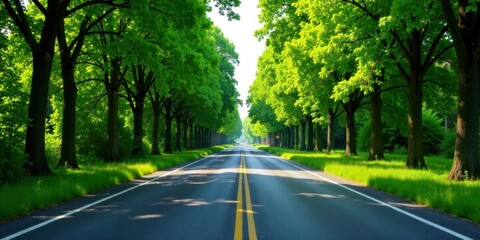 Obraz premium Serene asphalt road lined with vibrant green trees on a sunny day, creating a picturesque and tranquil landscape