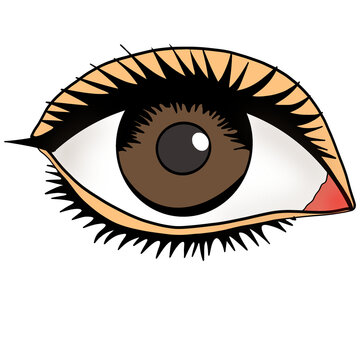 vector illustration of eye