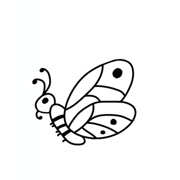 funny cartoon butterfly