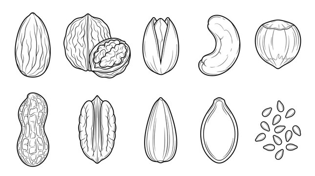 Nuts with almonds walnuts cashews pistachios set line drawing vector designs