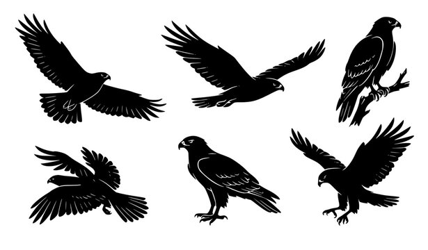 set of silhouettes of birds
