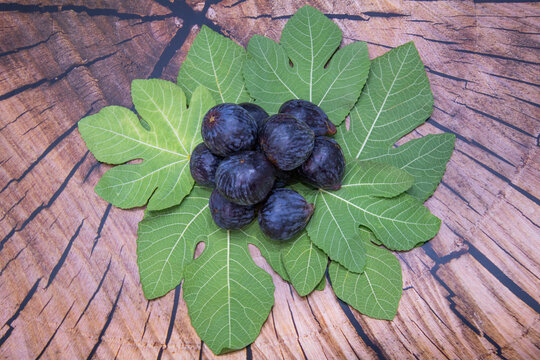 Studio shots of fresh and processed black and white figs&mdash;some of the most beloved fruits 'incir, kuru incir, siyah incir, beyaz incir'