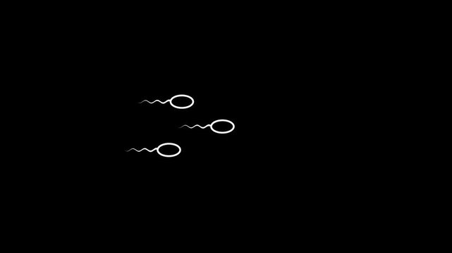 Animated sperm cells swimming, medical biology concept, microscopic reproduction process, scientific motion on black background