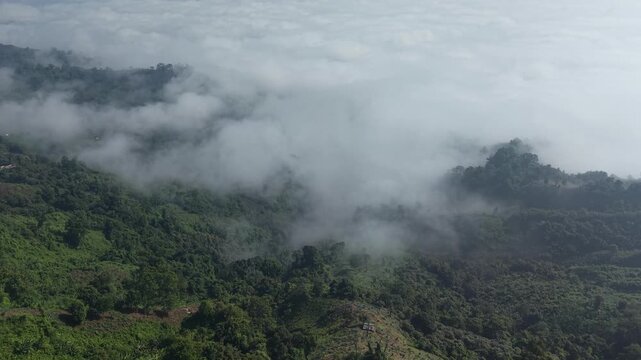 Aerial view of Double Hand View Point in Empu Para, Bangladesh.