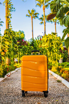 Yellow suitcase on a tropical garden path surrounded by lush green vegetation and exotic plants, travel and vacation concept in paradise setting.