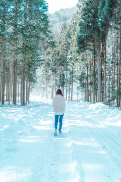 Person walking along a snow-covered forest path in winter