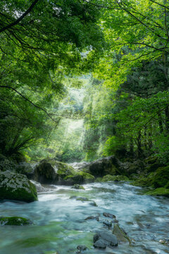Scenic river flowing through a lush green landscape in Japan