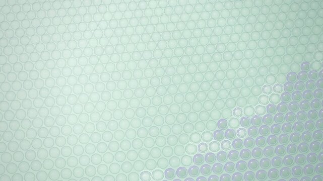 Bubble Wrap Popping and Inflating Seamless Loop Animation