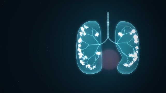 Human Lungs Breathing Medical Illustration Seamless Loop
