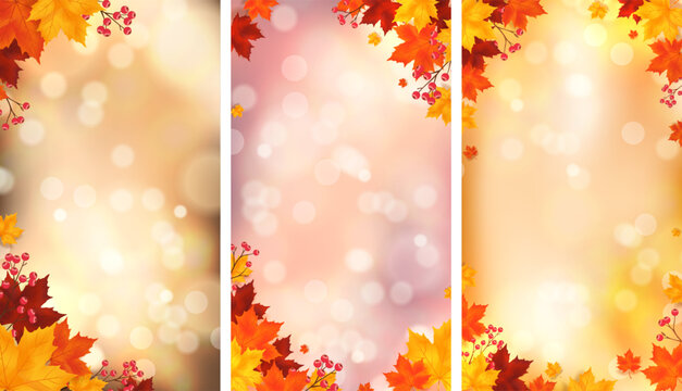 Autumn vertical background collection with three unique compositions, warm golden yellow orange and soft red tones, glowing bokeh lights, maple leaves and berry branches, elegant seasonal copy space