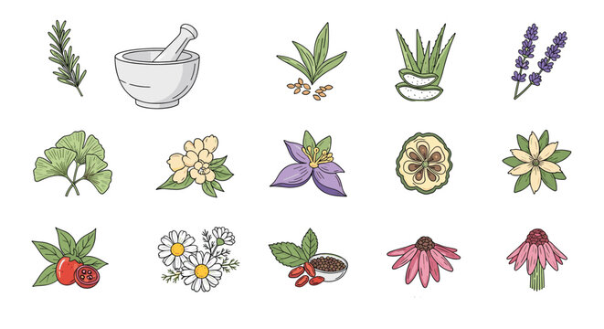 Large collection of hand-drawn sketches representing various natural cosmetic herbs and organic wellness tools.