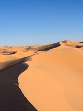 Dunes in the Sahara desert 