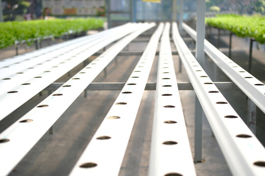 Rows of hydroponic pipes arranged in straight lines, ready for vegetable crops in a modern farming setup. Greenhouse.