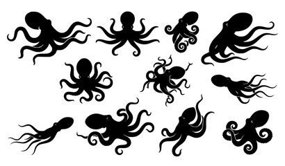 Obraz premium Dynamic Octopus Tentacle Black Silhouette Vector Collection