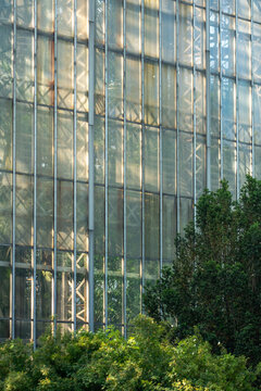 Vertical glass wall of large palm greenhouse stands behind lush garden vegetation, with metal framework, translucent panels and tropical plants visible through tall sections of sunlit glazing.