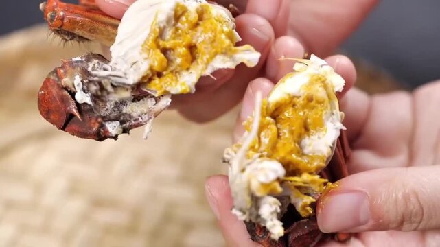 Steamed Yangcheng Lake hairy crab, Chinese mitten crab, classic autumn seafood，local delicacy shot in south China 2023‑08‑17.