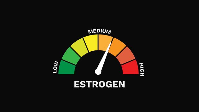 Estrogen Level Gauge Increasing and Decreasing Indicating Hormonal Balance Animation