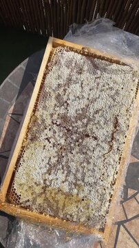 close view of honeycomb cells in wooden panel as thick golden honey pools and amber streaks drip across mosaic tile outdoors in warm sun with soft shadows