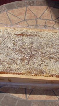 overhead view of wooden beehive panel filled with capped honeycomb as glossy amber honey beads glisten and pool along cells under warm light golden glow warmth