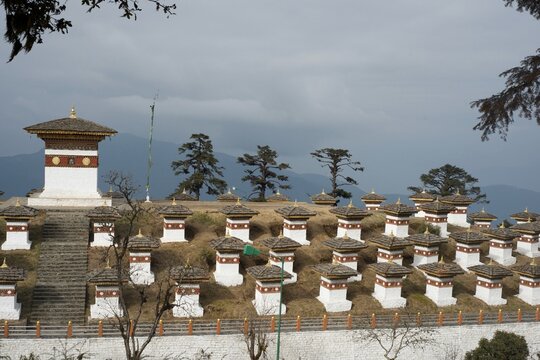 108 memorial chortens of Dochula Pass with pine trees, Bhutan