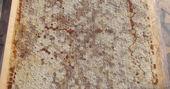 top-down close-up shows wax-sealed capped and open hexagonal honey cells on wooden beehive panel during honey extraction, warm amber light with tactile details