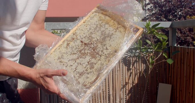 hands peel clear plastic from honeycomb panel, lifting capped wax cells with amber honey in warm daylight on residential balcony for tasting, close inspection