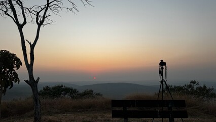 Fototapeta premium Hazy sunset silhouette with a bare tree and bench, cerrado hilltop