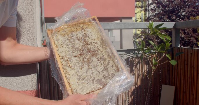 hands hold and tilt wooden beehive comb wrapped in clingfilm, peeling plastic to reveal capped honey cells on sunny apartment balcony, in warm daylight glow now