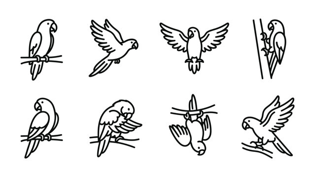 Parrot Line Art Collection: A set of eight minimalist line art illustrations depicts parrots in various poses, showcasing their agility and vibrant spirit.