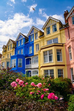 Brightly painted seaside houses with traditional bay windows and a lush garden of pink roses in Aldeburgh, Suffolk, England, beneath a blue summer sky with a seagull flying overhead.