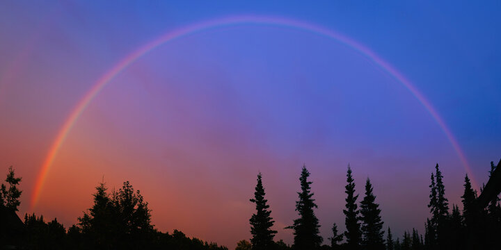 Rainbow and rainstorm at sunrise over fir trees in tundra forest in Alaska, USA