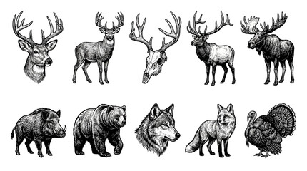 Fototapeta premium Engraving collection featuring deer bear wolf and other wildlife animals