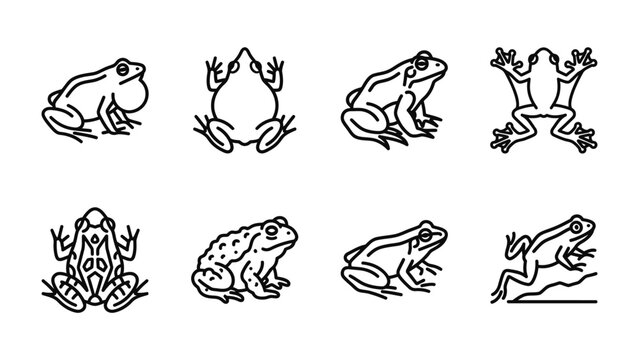 Collection of Frog Line Icons: A set of eight minimalist line art illustrations showcasing different frog species and poses.