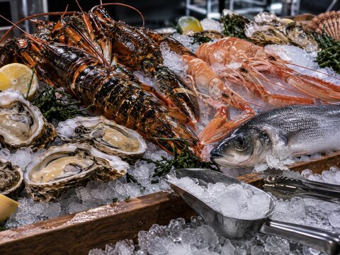 Frische spanische Meeresfr&uuml;chte auf Eis im Edelrestaurant &ndash; Hummer, Austern, Garnelen und Fisch als hochwertige Seafood-Auswahl f&uuml;r Fine Dining und Gourmetk&uuml;che.