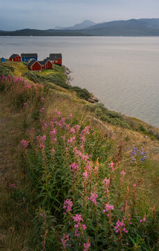 Kapisillit villlage, Nuuk fjord Greenland